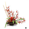 Silk Plant
