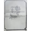 Ballard Designs Art