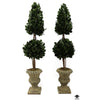 Topiary (Set)