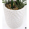Silk Plant