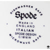 Spode Tray