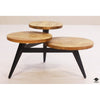 World Market Coffee Table