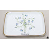 Dish