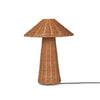 Fern Living Lamps (pair)
