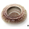 Wine Coaster