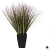 Silk Plant