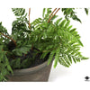 Silk Plant
