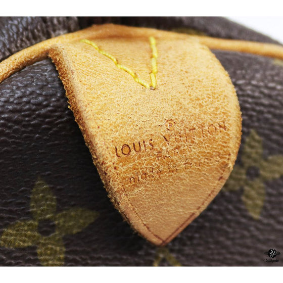 Louis Vuitton Travel Bag