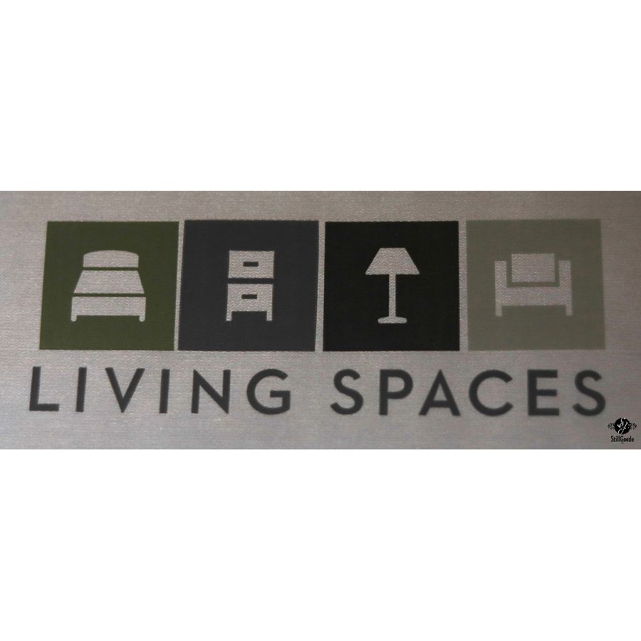 Living Spaces Sofa