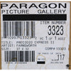 Paragon Art
