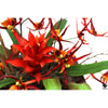Silk Plant