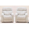 Recliners (Pair)