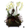 Silk Plant