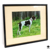 Framed Art