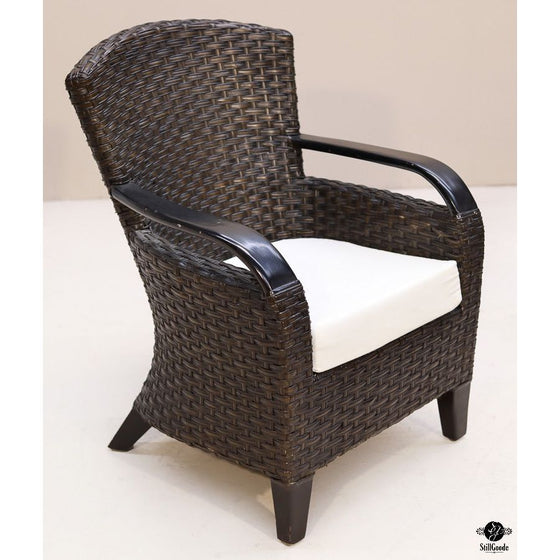 Pier 1 Patio Chair