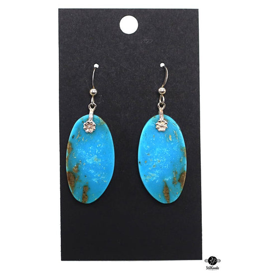 Sterling Earrings