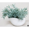 Silk Plant