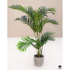 Silk Plant