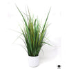 Silk Plant