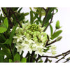 Floral Arrangement