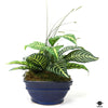 Silk Plant