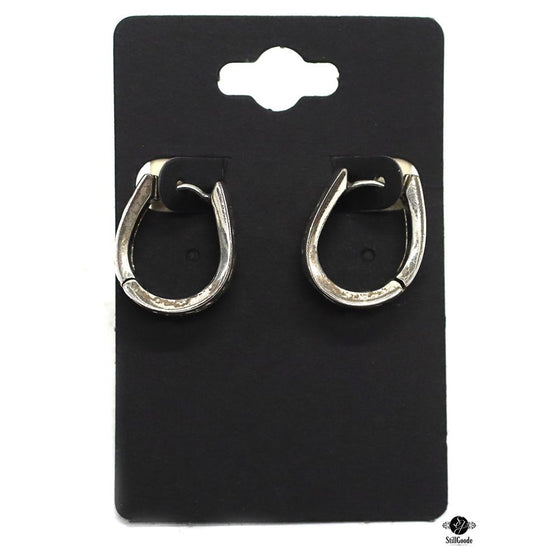 Sterling Earrings