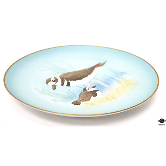 Hutschenreuther Plate