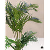 Silk Plant