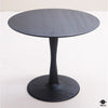 2Modern Dining Table
