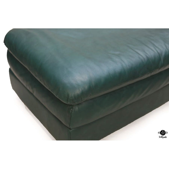 Natuzzi Chair & Ottoman