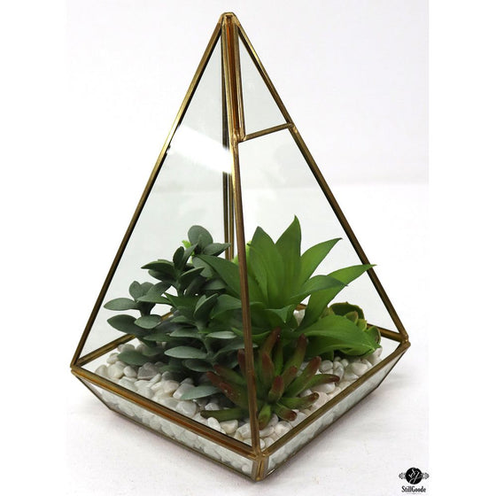 Silk Plant