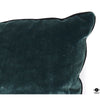 Paul Robert Pillow