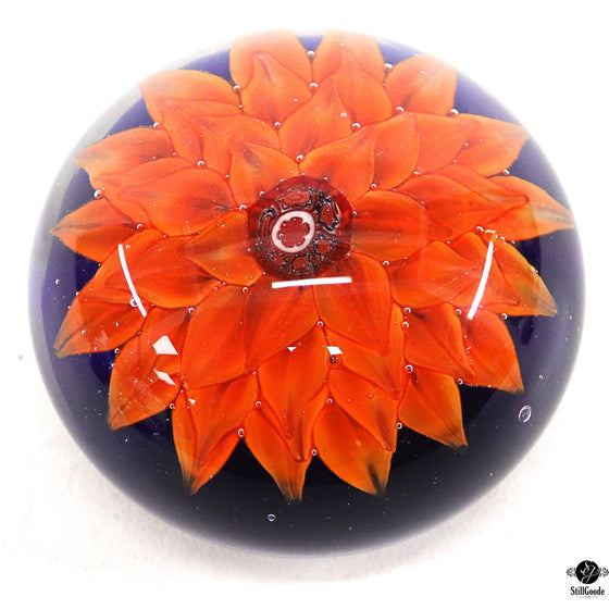 Murano Paperweight