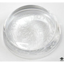  Disney Paperweight