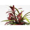 Silk Plant