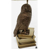 Pottery Barn Lamp
