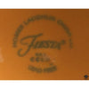 Fiesta Plate