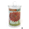 Jar (Set)