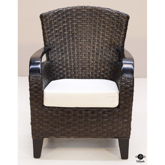 Pier 1 Patio Chair