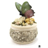 Trinket Box