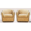 Pottery Barn Chairs (Pair)