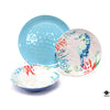 Dish Set
