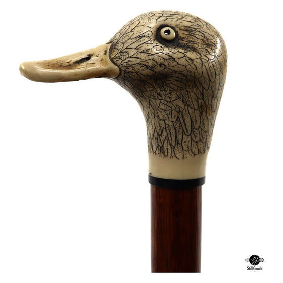 Cane
