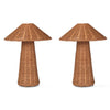 Fern Living Lamps (pair)
