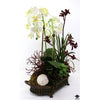 Silk Plant