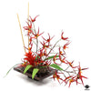 Silk Plant