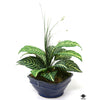 Silk Plant