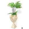 Silk Plant