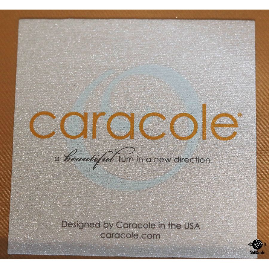 Caracole Chair