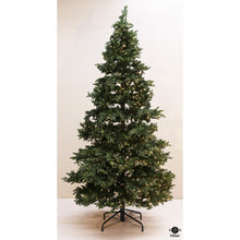  Balsam Hill Christmas